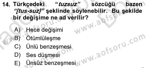 Genel Dilbilim 1 Dersi 2023 - 2024 Yılı (Final) Dönem Sonu Sınav Soruları 14. Soru