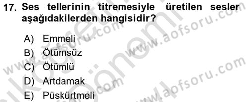 Genel Dilbilim 1 Dersi 2023 - 2024 Yılı (Final) Dönem Sonu Sınav Soruları 17. Soru