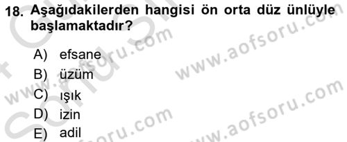 Genel Dilbilim 1 Dersi 2023 - 2024 Yılı (Final) Dönem Sonu Sınav Soruları 18. Soru