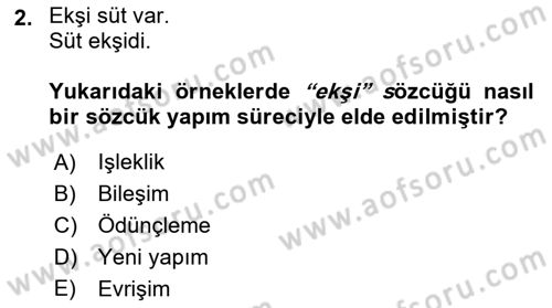 Genel Dilbilim 1 Dersi 2023 - 2024 Yılı (Final) Dönem Sonu Sınav Soruları 2. Soru