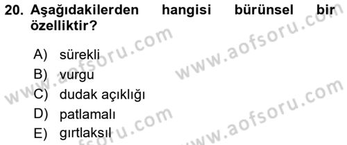 Genel Dilbilim 1 Dersi 2023 - 2024 Yılı (Final) Dönem Sonu Sınav Soruları 20. Soru