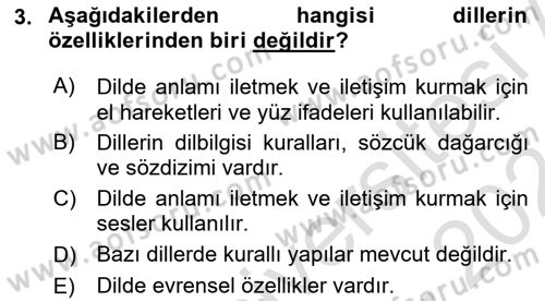 Genel Dilbilim 1 Dersi 2023 - 2024 Yılı (Final) Dönem Sonu Sınav Soruları 3. Soru