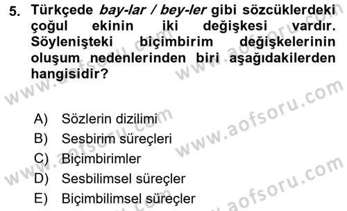 Genel Dilbilim 1 Dersi 2023 - 2024 Yılı (Final) Dönem Sonu Sınav Soruları 5. Soru