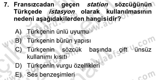Genel Dilbilim 1 Dersi 2023 - 2024 Yılı (Final) Dönem Sonu Sınav Soruları 7. Soru