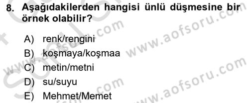 Genel Dilbilim 1 Dersi 2023 - 2024 Yılı (Final) Dönem Sonu Sınav Soruları 8. Soru