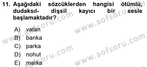 Genel Dilbilim 1 Dersi 2023 - 2024 Yılı Yaz Okulu Sınav Soruları 11. Soru