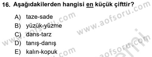 Genel Dilbilim 1 Dersi 2023 - 2024 Yılı Yaz Okulu Sınav Soruları 16. Soru