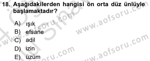 Genel Dilbilim 1 Dersi 2023 - 2024 Yılı Yaz Okulu Sınav Soruları 18. Soru