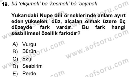 Genel Dilbilim 1 Dersi 2023 - 2024 Yılı Yaz Okulu Sınav Soruları 19. Soru