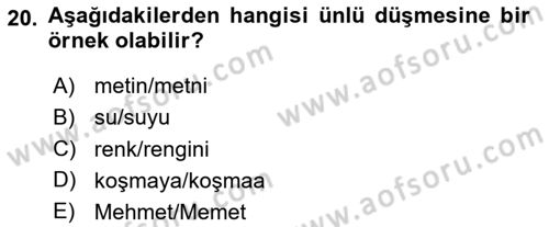 Genel Dilbilim 1 Dersi 2023 - 2024 Yılı Yaz Okulu Sınav Soruları 20. Soru