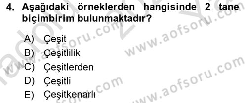 Genel Dilbilim 1 Dersi 2023 - 2024 Yılı Yaz Okulu Sınav Soruları 4. Soru