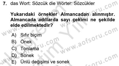 Genel Dilbilim 1 Dersi 2023 - 2024 Yılı Yaz Okulu Sınav Soruları 7. Soru