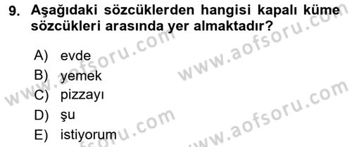 Genel Dilbilim 1 Dersi 2023 - 2024 Yılı Yaz Okulu Sınav Soruları 9. Soru