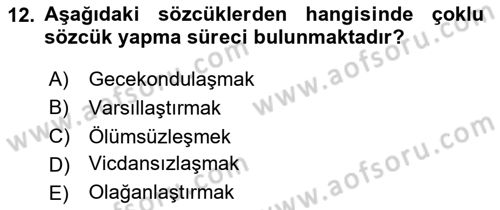 Genel Dilbilim 1 Dersi 2024 - 2025 Yılı (Vize) Ara Sınav Soruları 12. Soru