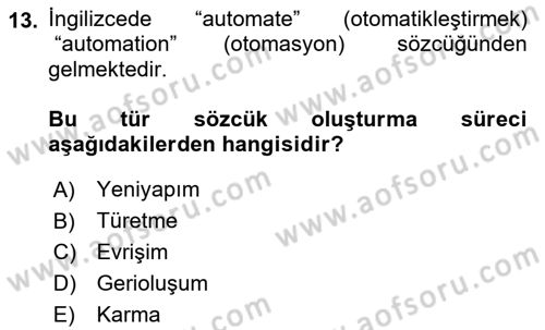 Genel Dilbilim 1 Dersi 2024 - 2025 Yılı (Vize) Ara Sınav Soruları 13. Soru
