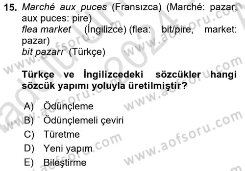 Genel Dilbilim 1 Dersi 2024 - 2025 Yılı (Vize) Ara Sınav Soruları 15. Soru