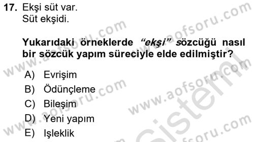 Genel Dilbilim 1 Dersi 2024 - 2025 Yılı (Vize) Ara Sınav Soruları 17. Soru