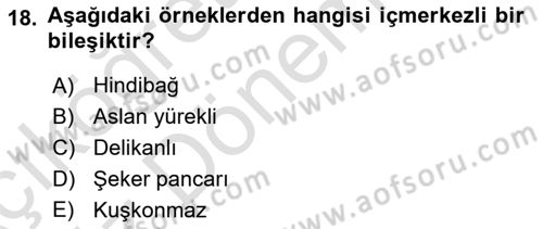 Genel Dilbilim 1 Dersi 2024 - 2025 Yılı (Vize) Ara Sınav Soruları 18. Soru