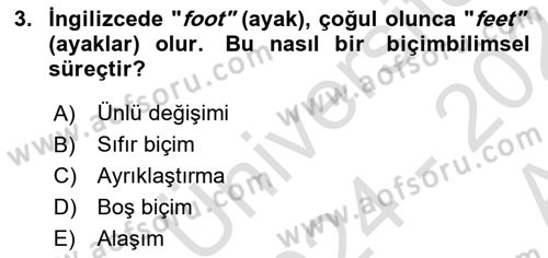 Genel Dilbilim 1 Dersi 2024 - 2025 Yılı (Vize) Ara Sınav Soruları 3. Soru