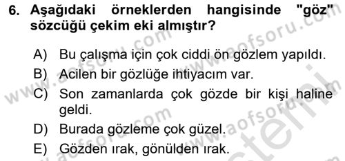 Genel Dilbilim 1 Dersi 2024 - 2025 Yılı (Vize) Ara Sınav Soruları 6. Soru