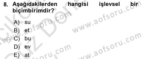Genel Dilbilim 1 Dersi 2024 - 2025 Yılı (Vize) Ara Sınav Soruları 8. Soru