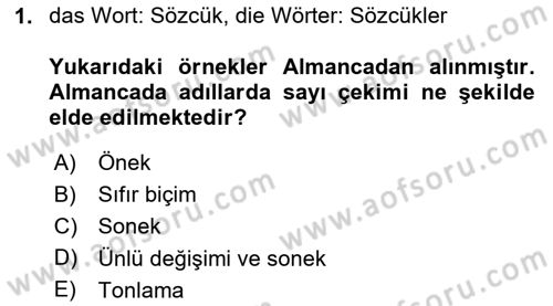 Genel Dilbilim 1 Dersi 2024 - 2025 Yılı (Final) Dönem Sonu Sınav Soruları 1. Soru