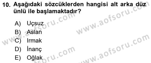 Genel Dilbilim 1 Dersi 2024 - 2025 Yılı (Final) Dönem Sonu Sınav Soruları 10. Soru