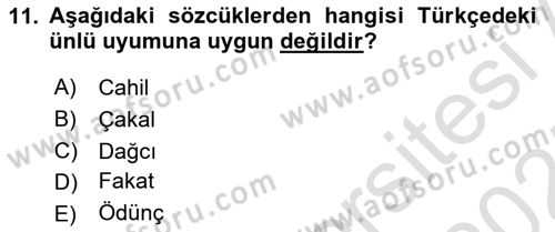 Genel Dilbilim 1 Dersi 2024 - 2025 Yılı (Final) Dönem Sonu Sınav Soruları 11. Soru