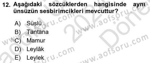Genel Dilbilim 1 Dersi 2024 - 2025 Yılı (Final) Dönem Sonu Sınav Soruları 12. Soru