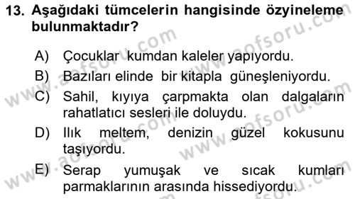 Genel Dilbilim 1 Dersi 2024 - 2025 Yılı (Final) Dönem Sonu Sınav Soruları 13. Soru