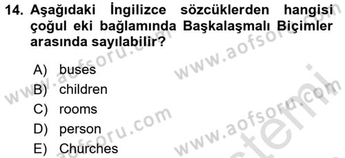 Genel Dilbilim 1 Dersi 2024 - 2025 Yılı (Final) Dönem Sonu Sınav Soruları 14. Soru
