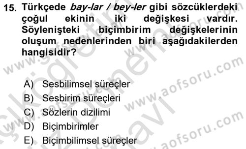 Genel Dilbilim 1 Dersi 2024 - 2025 Yılı (Final) Dönem Sonu Sınav Soruları 15. Soru