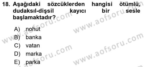 Genel Dilbilim 1 Dersi 2024 - 2025 Yılı (Final) Dönem Sonu Sınav Soruları 18. Soru
