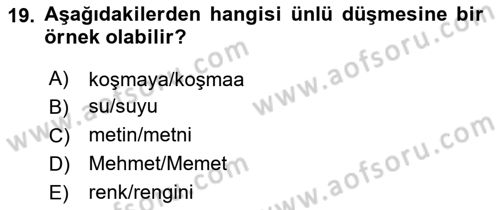 Genel Dilbilim 1 Dersi 2024 - 2025 Yılı (Final) Dönem Sonu Sınav Soruları 19. Soru