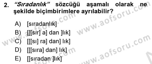 Genel Dilbilim 1 Dersi 2024 - 2025 Yılı (Final) Dönem Sonu Sınav Soruları 2. Soru