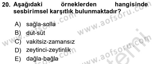 Genel Dilbilim 1 Dersi 2024 - 2025 Yılı (Final) Dönem Sonu Sınav Soruları 20. Soru