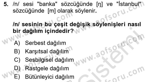 Genel Dilbilim 1 Dersi 2024 - 2025 Yılı (Final) Dönem Sonu Sınav Soruları 5. Soru