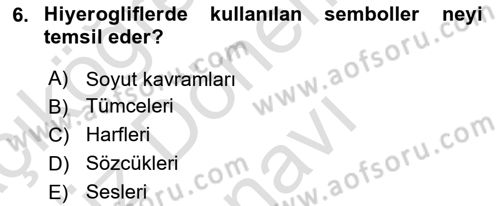 Genel Dilbilim 1 Dersi 2024 - 2025 Yılı (Final) Dönem Sonu Sınav Soruları 6. Soru
