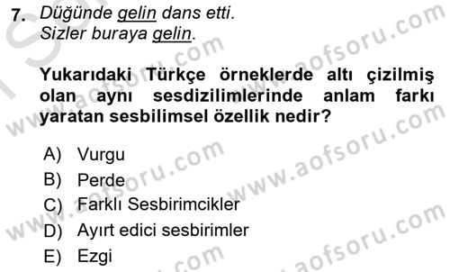Genel Dilbilim 1 Dersi 2024 - 2025 Yılı (Final) Dönem Sonu Sınav Soruları 7. Soru