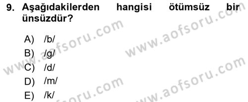 Genel Dilbilim 1 Dersi 2024 - 2025 Yılı (Final) Dönem Sonu Sınav Soruları 9. Soru
