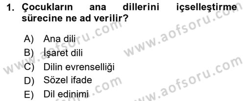 Genel Dilbilim 1 Dersi 2024 - 2025 Yılı Yaz Okulu Sınav Soruları 1. Soru