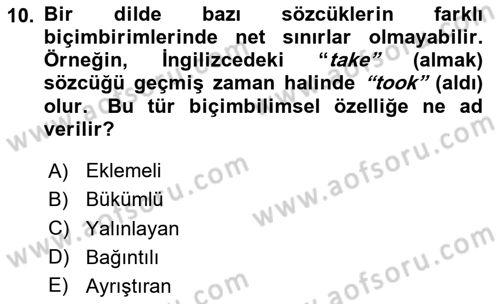 Genel Dilbilim 1 Dersi 2024 - 2025 Yılı Yaz Okulu Sınav Soruları 10. Soru
