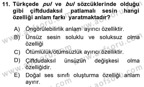 Genel Dilbilim 1 Dersi 2024 - 2025 Yılı Yaz Okulu Sınav Soruları 11. Soru