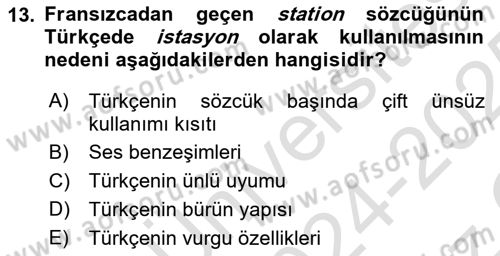 Genel Dilbilim 1 Dersi 2024 - 2025 Yılı Yaz Okulu Sınav Soruları 13. Soru