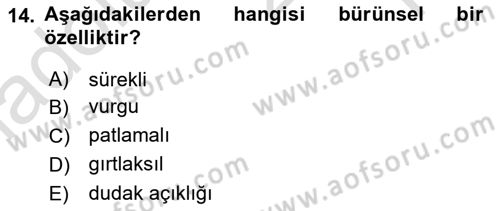 Genel Dilbilim 1 Dersi 2024 - 2025 Yılı Yaz Okulu Sınav Soruları 14. Soru