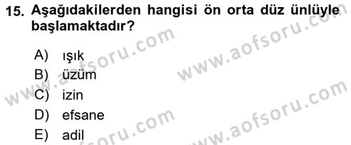 Genel Dilbilim 1 Dersi 2024 - 2025 Yılı Yaz Okulu Sınav Soruları 15. Soru