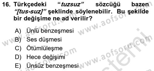 Genel Dilbilim 1 Dersi 2024 - 2025 Yılı Yaz Okulu Sınav Soruları 16. Soru