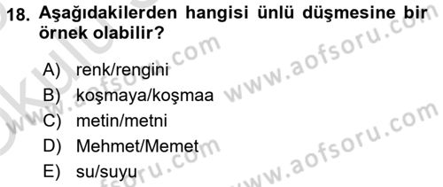 Genel Dilbilim 1 Dersi 2024 - 2025 Yılı Yaz Okulu Sınav Soruları 18. Soru