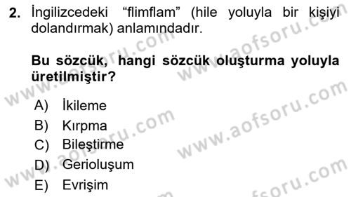Genel Dilbilim 1 Dersi 2024 - 2025 Yılı Yaz Okulu Sınav Soruları 2. Soru