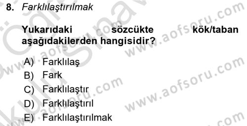 Genel Dilbilim 1 Dersi 2024 - 2025 Yılı Yaz Okulu Sınav Soruları 8. Soru
